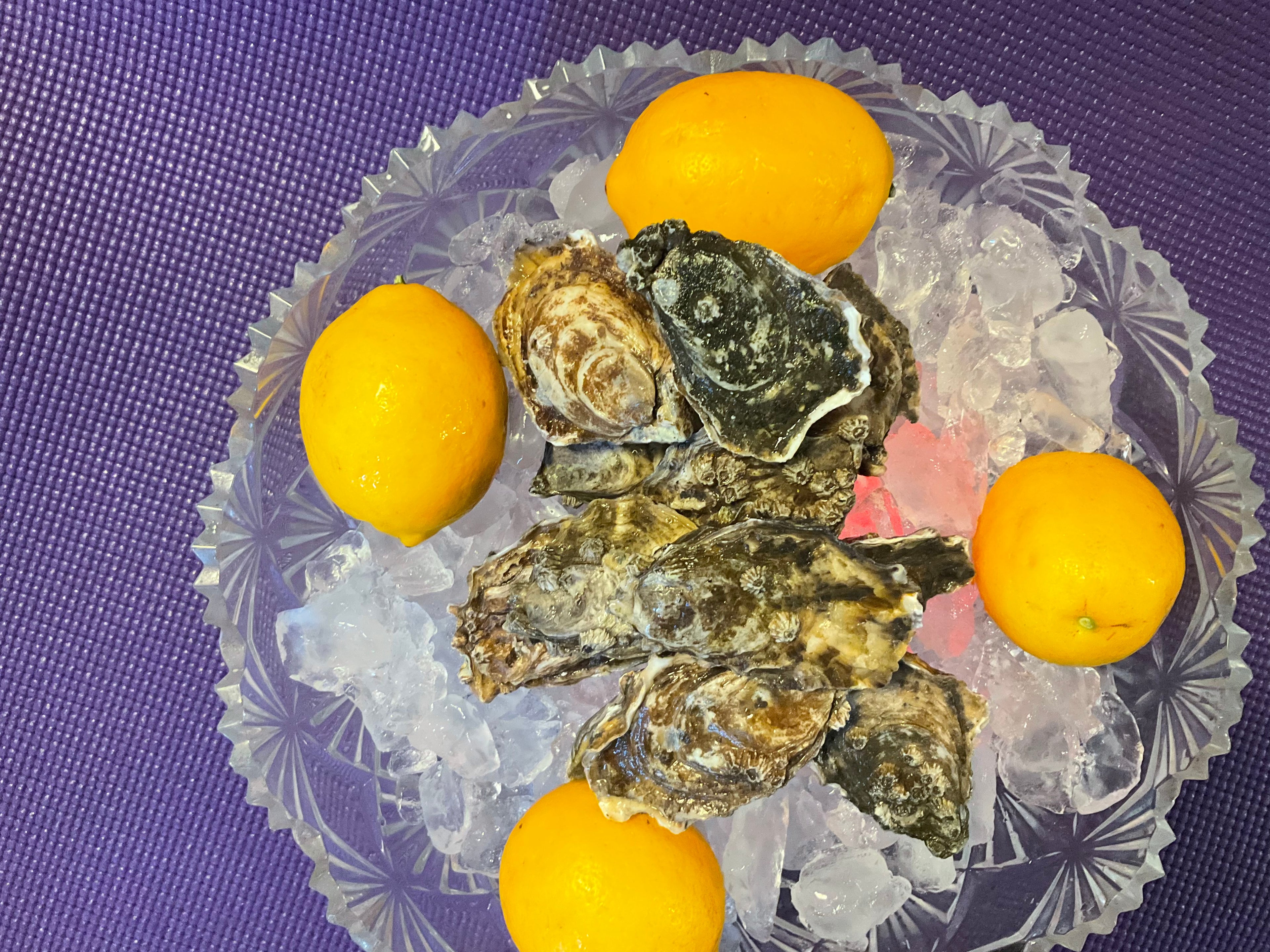 The Twin Coast Reserve.  15 Oysters