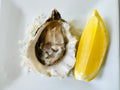 Shuck & Go Service