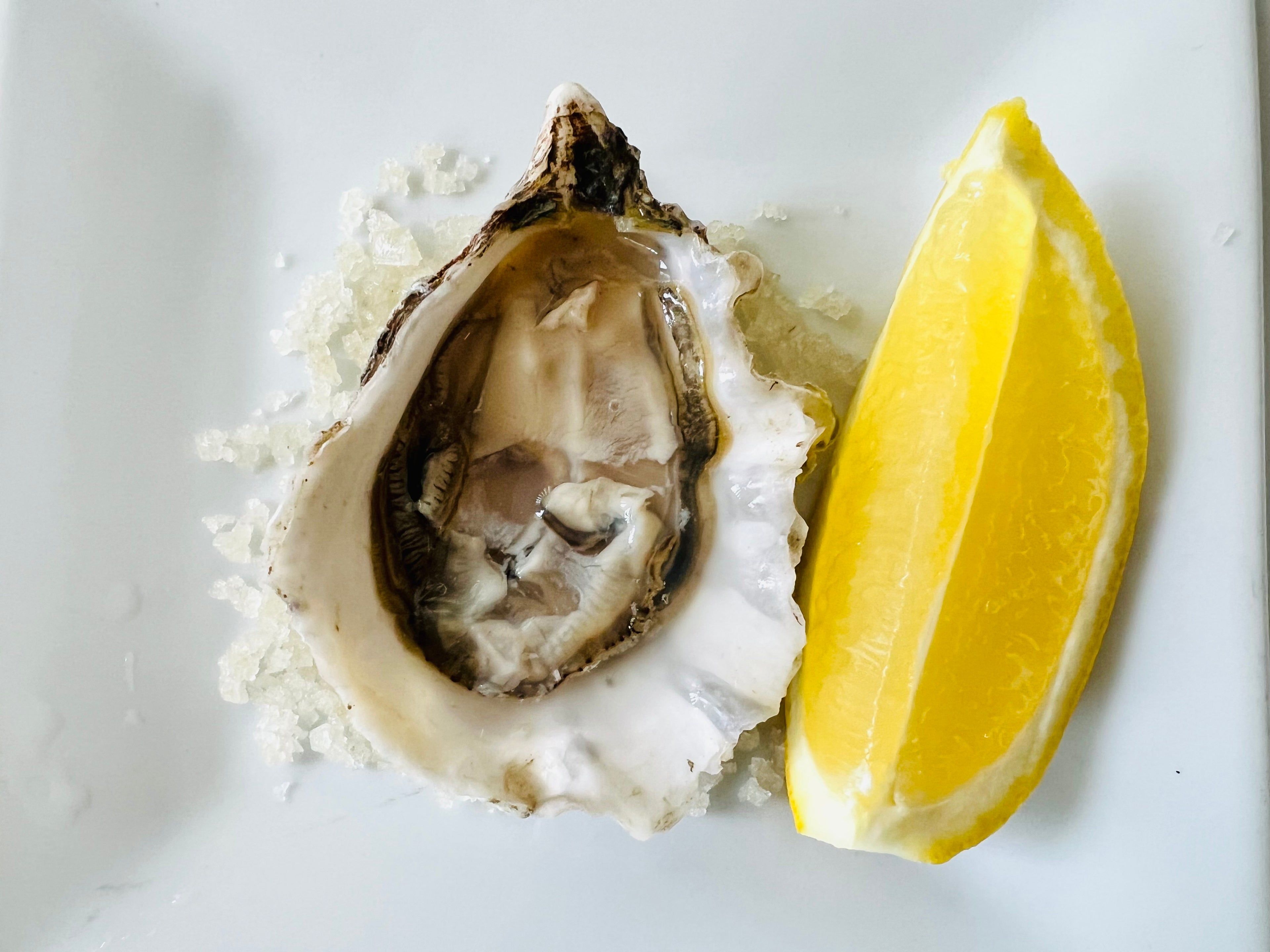 Shuck & Go Service