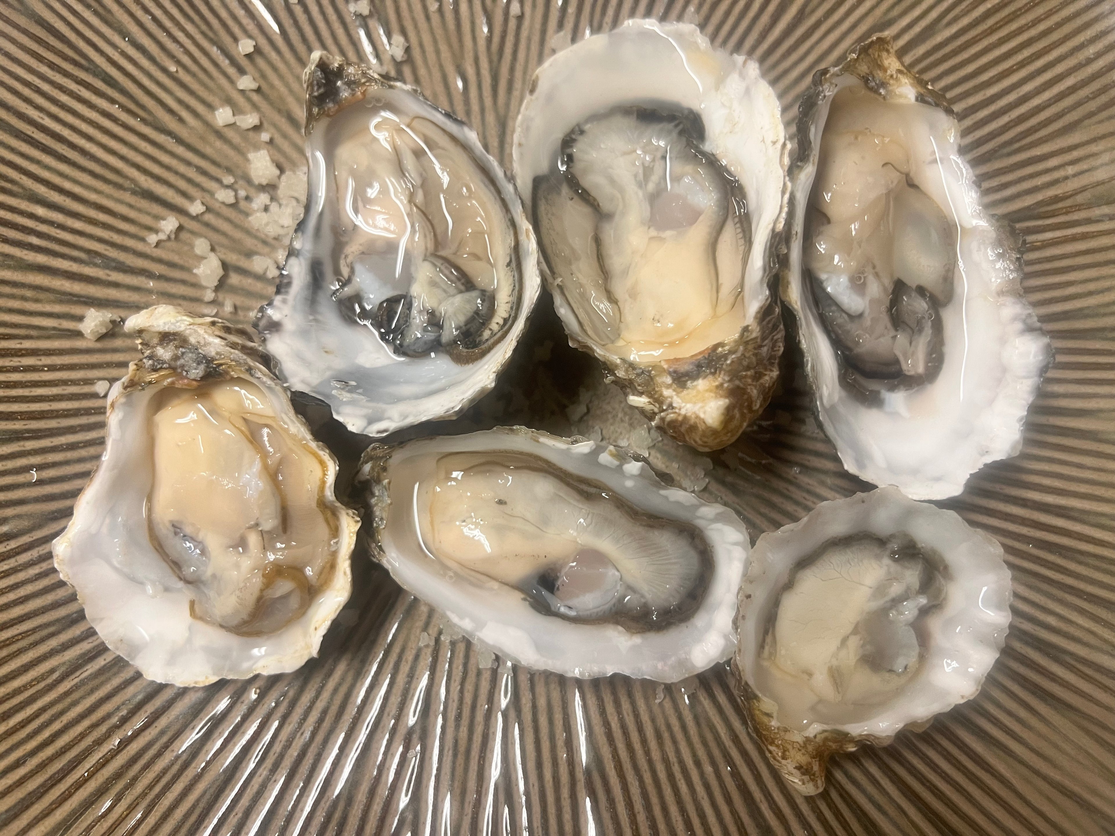Shuck & Go Service
