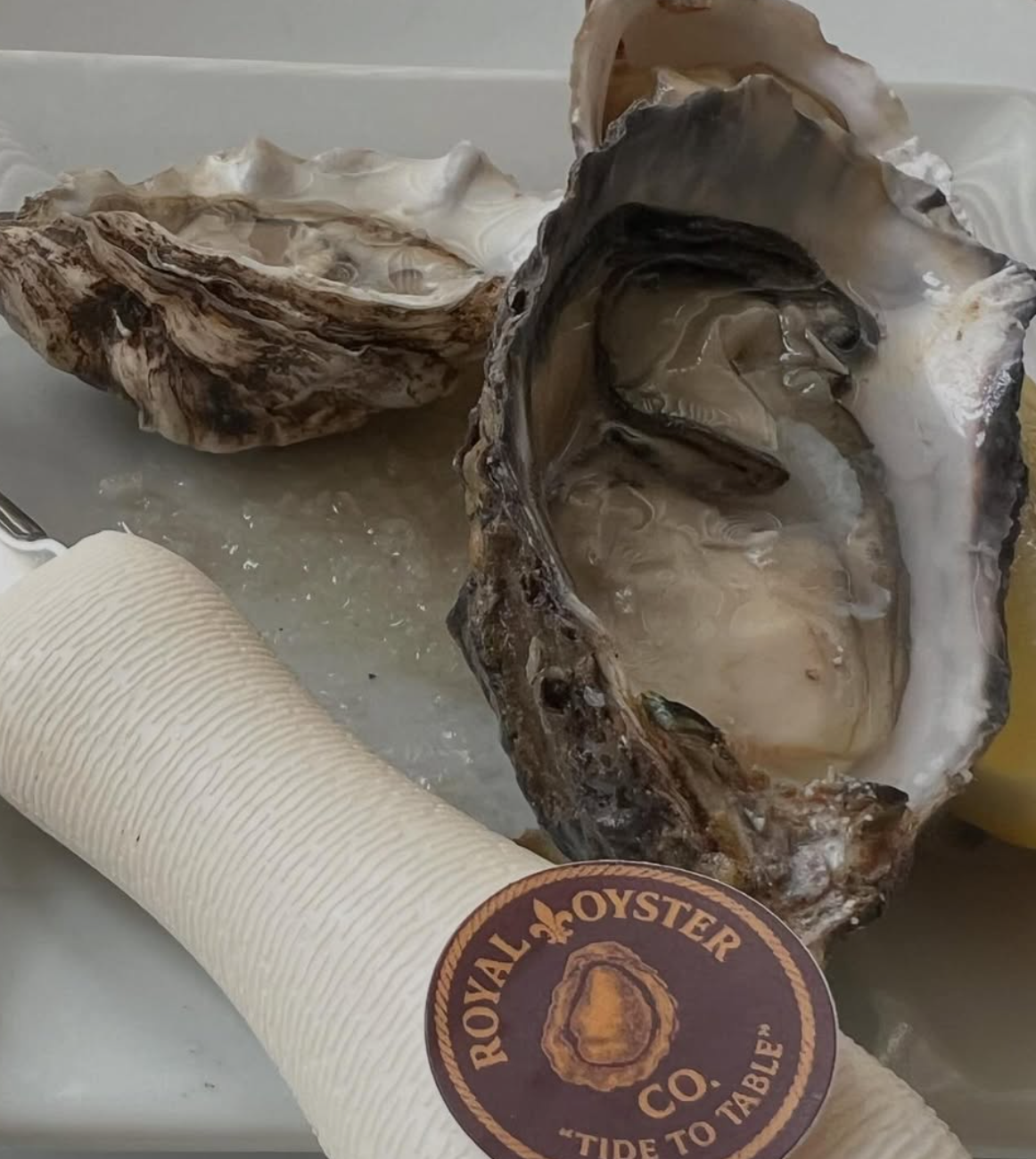 Caballo Blanco oyster