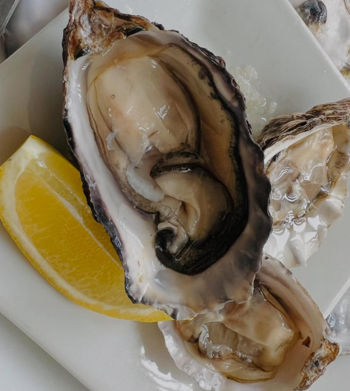 Golden Nugget oyster